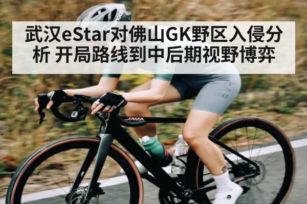 武汉eStar对佛山GK野区入侵分析 开局路线到中后期视野博弈